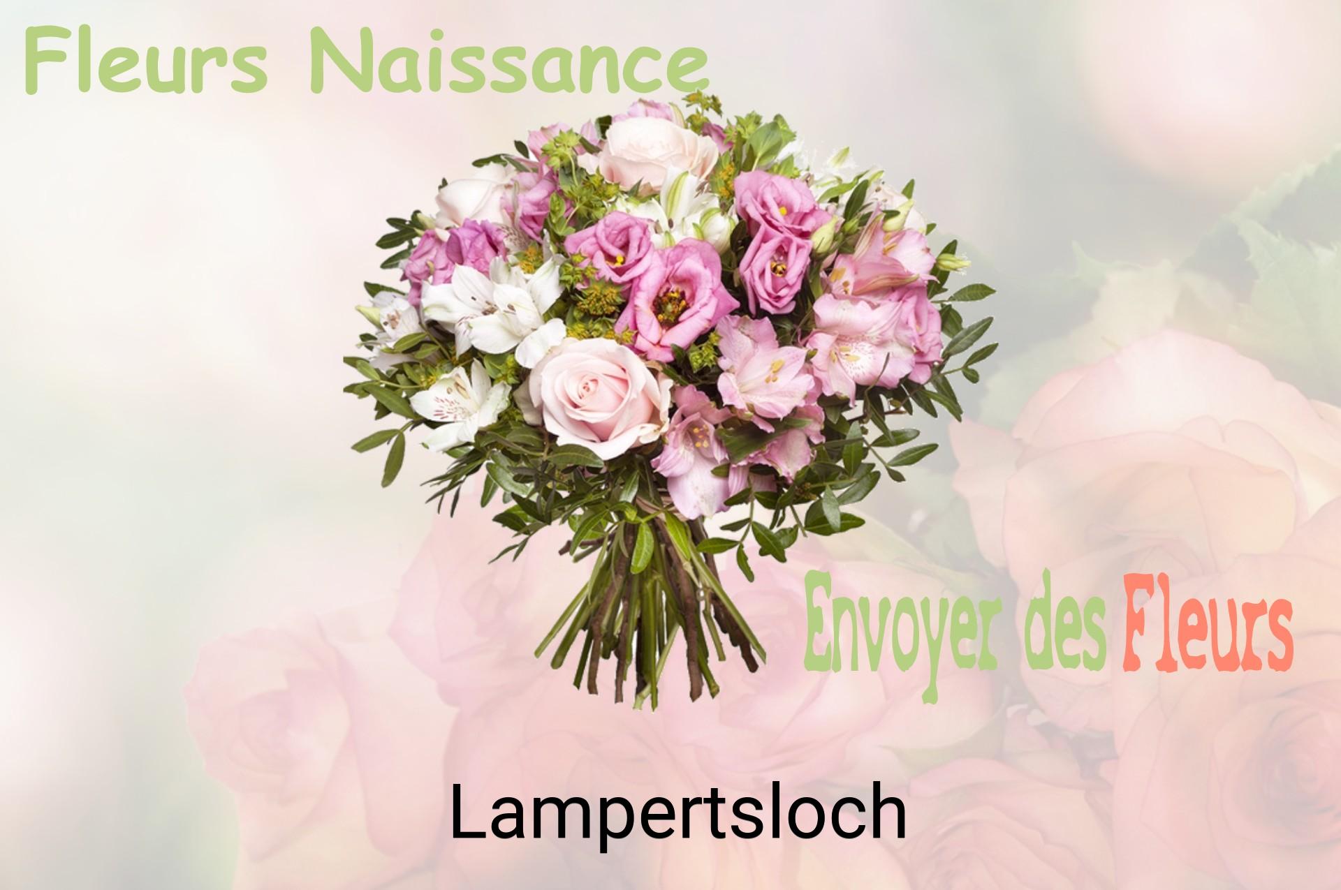 Bouquet de fleurs de naissance livré à Lampertsloch